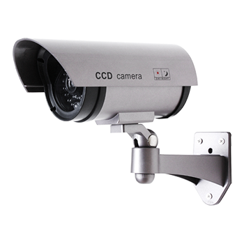 CS809 CS809