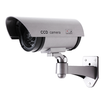 CS809